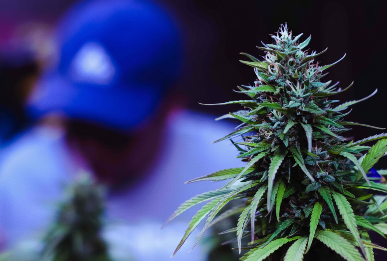 Design, Flexibility, and Support: Why Flow is Innerbloom’s Shopify Theme of Choice